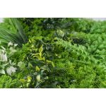 Mű zöld fal G21 Listo River, 50×50 cm