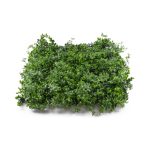 Mű zöld fal G21 Listo Berry, 50×50 cm