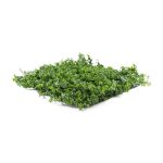 Mű zöld fal G21 Listo Berry, 50×50 cm