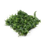 Mű zöld fal G21 Listo Ferns, 50×50 cm