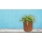 G21 Element Cork virágcserép 21 x 21 x 21