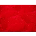 Acra L48-ZL felfújhatós matrac, piros