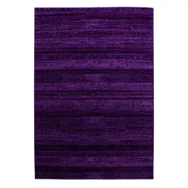 Ay. PLUS 8000 140 x 200 cm lila Modern szőnyeg