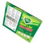Ragacsos lap Mickey Cats, 22x17 cm, egerekhez és patkányokhoz, méregmentes