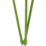 Tartó FH-360, 60 cm, virágtámasztó állvány