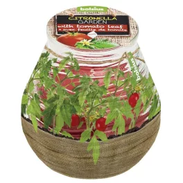   Gyertya Bolsius Teracce Citronella, rovarriasztó, 94/91 mm, paradicsom