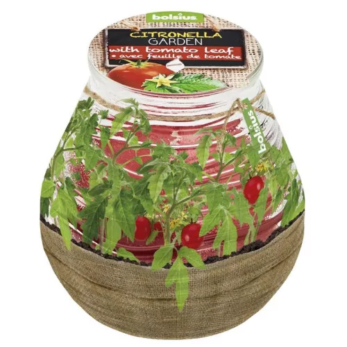 Gyertya Bolsius Teracce Citronella, rovarriasztó, 94/91 mm, paradicsom