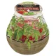 Gyertya Bolsius Teracce Citronella, rovarriasztó, 94/91 mm, paradicsom