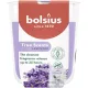 Gyertya Bolsius True Scents, levendula, 80x73 mm, üvegben