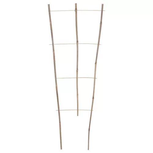 Növénytámasz, Strend Pro Garden BEK18, bambusz, 60 x 40 cm, rácsos, natúr, kúszónövényekhez, beltéri és kültéri használatra, 10 db-os csomag
