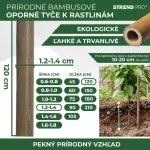 Karó Garden KBT 1200/12-14 mm, csomag 10 db, bambusz, növénytámasz