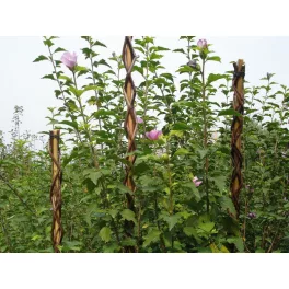   Rúd Garden Willow 160 cm, vesszőből készült, növénytámasztó