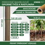 Növénytámasz, Strend Pro Garden, bambusz, magasság: 210 cm, átmérő: 1,6–1,8 cm, 10 db-os csomag