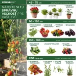 Műanyag kerítésháló, Strend Pro Garden Economy 4, zöld, 100 cm x 25 m, szemméret: 10 x 10 mm, 300 g/m2, négyzetrács, 100 % műanyag