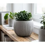 Műanyag virágcserép, Prosperplast Beton Bowl, szürke, átmérő: 18 cm, magasság: 14 cm, bordázott, betonhatású, kerek