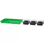 Mini palántázó Strend Pro Herrison P2005, 3 palántahely, 57x24,5x13,5 cm