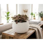Műanyag virágcserép, Prosperplast Splofy Bowl, fehér, átmérő: 29 cm, magasság: 19,5 cm, tál alakú, betéttel, 3,9 l, kerek