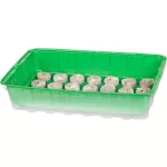 Mini palántázó Strend Pro Herrison MG-029, 28 kókusz pellettel, 36x22x7 cm
