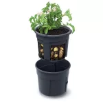 Műanyag burgonyatermesztő cserép, Prosperplast, antracit, átmérő: 39,2 cm, magasság: 31,6 cm, 28 l, ablakos betéttel, betakarító nyílásokkal, 2 részes, kerek