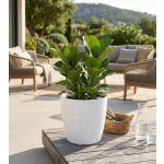 Műanyag virágcserép, Strend Pro Garden Stone, fehér, átmérő: 28 cm, magasság: 26 cm, pöttyökkel, betéttel, 11 l, kőhatású, kerek