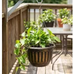 Függő virágcserép, Strend Pro Garden, arany/fekete, átmérő: 24,5 cm, magasság: 15 cm, lánccal és akasztóval, műanyag, antikolt, kerek