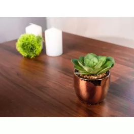   Szukkulens MagicHome S34042, 15 cm, cement cserépben, arany, mű