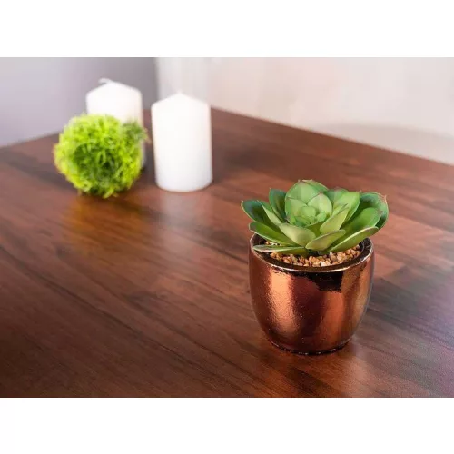 Szukkulens MagicHome S34042, 15 cm, cement cserépben, arany, mű