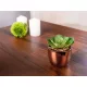 Szukkulens MagicHome S34042, 15 cm, cement cserépben, arany, mű