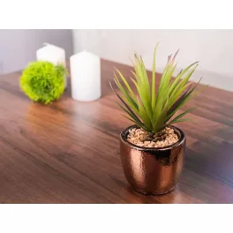   Szukkulens MagicHome S34041, 19 cm, cement cserépben, arany, mű