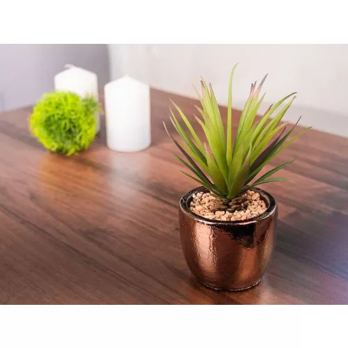Szukkulens MagicHome S34041, 19 cm, cement cserépben, arany, mű