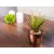 Szukkulens MagicHome S34041, 19 cm, cement cserépben, arany, mű