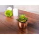Szukkulens MagicHome S34040, 12 cm, cement cserépben, arany, mű