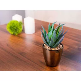   Szukkulens MagicHome S15643, 17 cm, műanyag virágtartóban, arany, mű