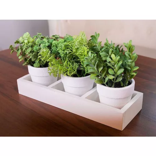 Szukkulens mix MagicHome, 18 cm, papír virágcserép, 3 db, mű