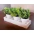 Szukkulens mix MagicHome, 18 cm, papír virágcserép, 3 db, mű