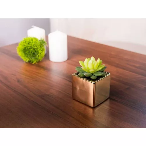 Szukkulens MagicHome SA3905, 15 cm, kerámia cserépben, arany, mű