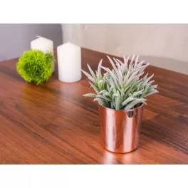   Szukkulens MagicHome S31274, 16 cm, kerámia cserépben, arany, mű