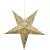 MagicHome Karácsonyi csillag, 10 LED, melegfehér, 3x AA + távirányító, 40 cm