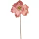 Virág MagicHome, Karácsonyi Mikulásvirág, rózsaszín, szár, 38 cm, virágméret: 24 cm