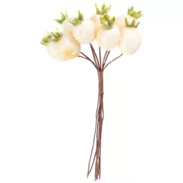 Ág MagicHome Karácsony, csipkebogyók, fehér, 13 cm