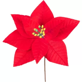   Virág MagicHome, Karácsonyi Mikulásvirág, piros, 21 cm, virágméret: 16,5 cm