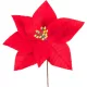 Virág MagicHome, Karácsonyi Mikulásvirág, piros, 21 cm, virágméret: 16,5 cm