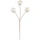 Ág MagicHome Karácsony, csillagok, fehér, 8,5 cm