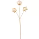 Ág MagicHome Karácsony, csillagok, arany, 8,5 cm