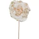 Virág MagicHome, Karácsonyi rózsa, krémszínű, 17 cm, virágméret: 9 cm0501000030218