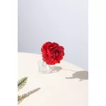 Virág MagicHome, Karácsonyi rózsa, piros, 17 cm, virágméret: 9 cm