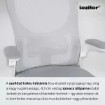 Flexo ergonomikus irodai forgószék deréktámasszal