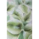 Leveles konyhai falikép 50b Zöld 60x90 cm