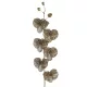 Orchidea karácsonyi gally Barna 62 cm