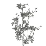 29 karácsonyi gally Pezsgő 78 cm